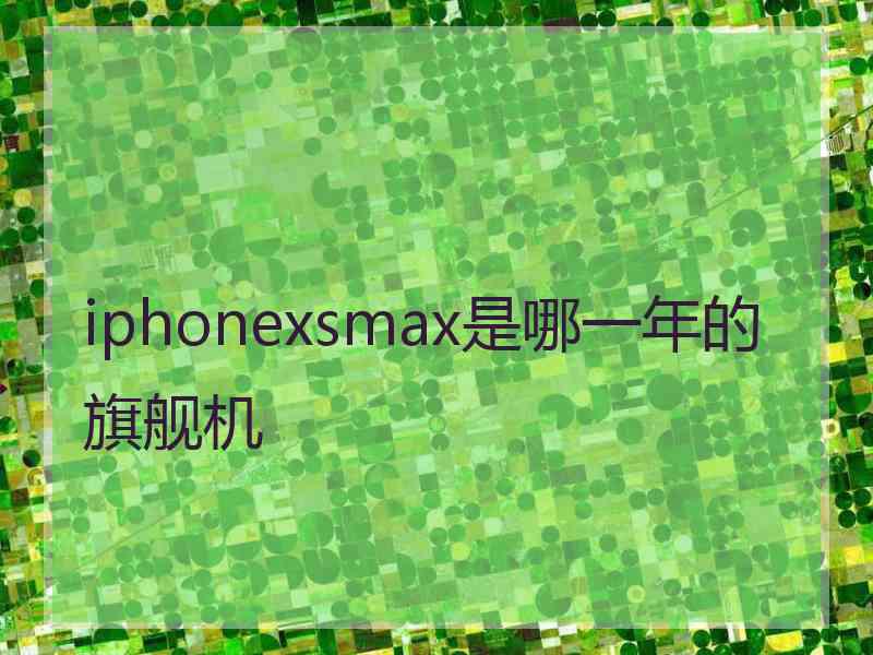 iphonexsmax是哪一年的旗舰机