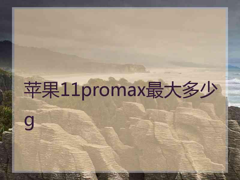 苹果11promax最大多少g