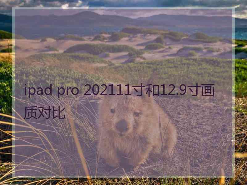 ipad pro 202111寸和12.9寸画质对比