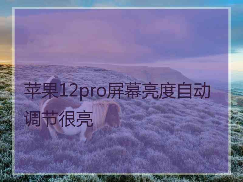 苹果12pro屏幕亮度自动调节很亮