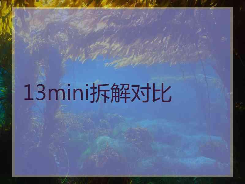 13mini拆解对比