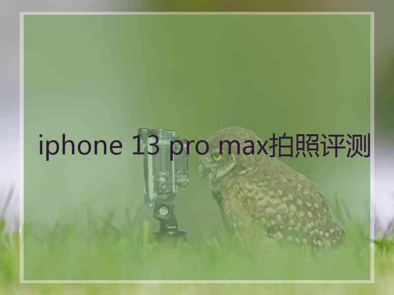 iphone 13 pro max拍照评测