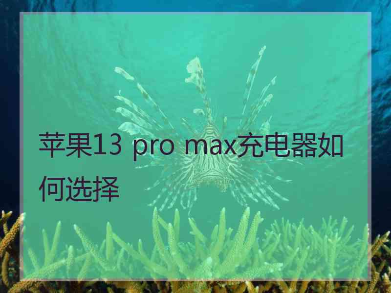 苹果13 pro max充电器如何选择