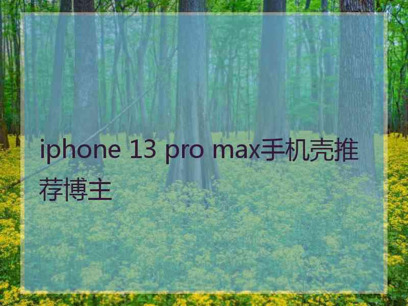 iphone 13 pro max手机壳推荐博主