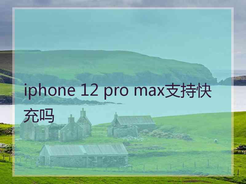 iphone 12 pro max支持快充吗