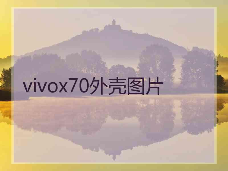 vivox70外壳图片