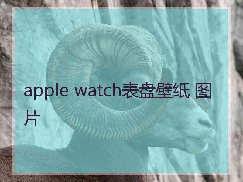 apple watch表盘壁纸 图片