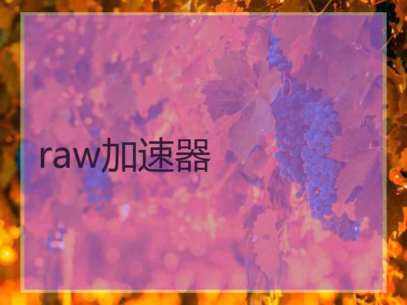 raw加速器