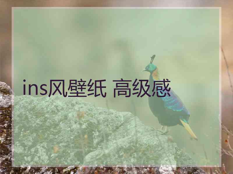 ins风壁纸 高级感