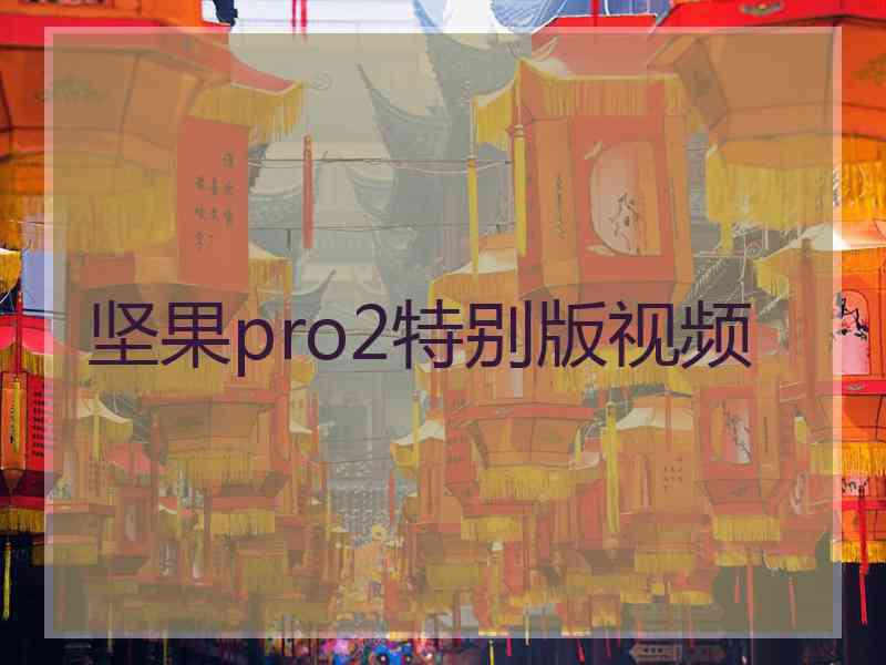 坚果pro2特别版视频