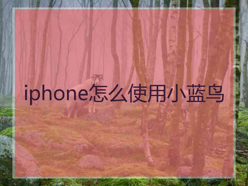 iphone怎么使用小蓝鸟