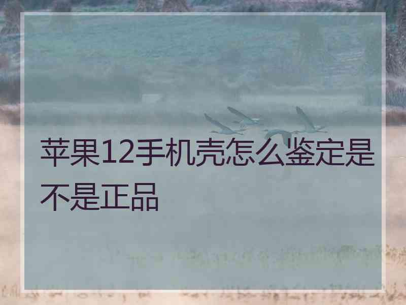 苹果12手机壳怎么鉴定是不是正品