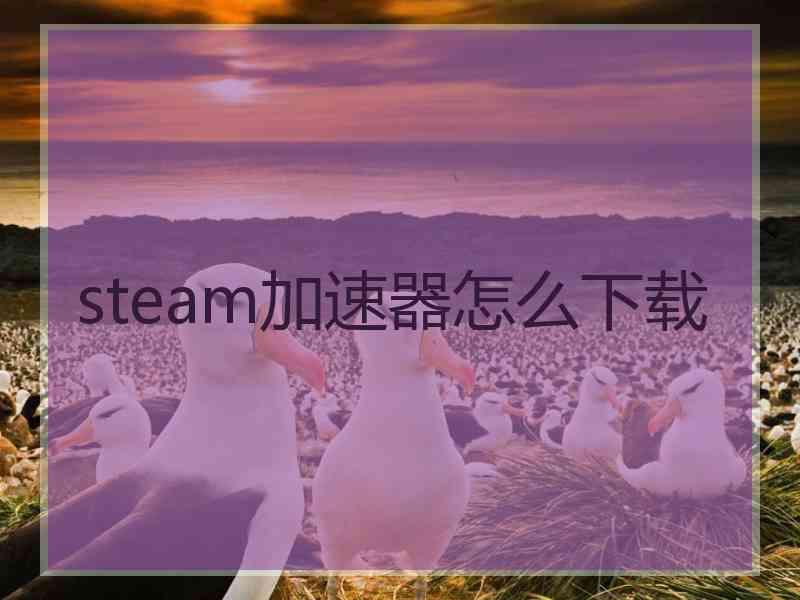 steam加速器怎么下载