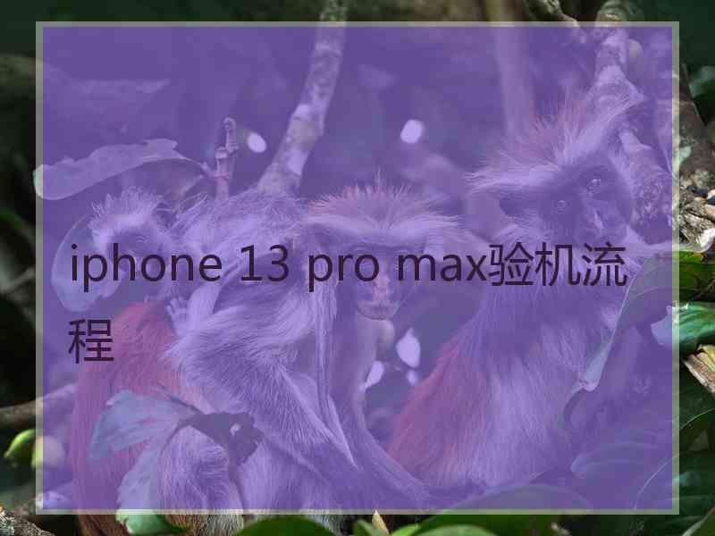 iphone 13 pro max验机流程