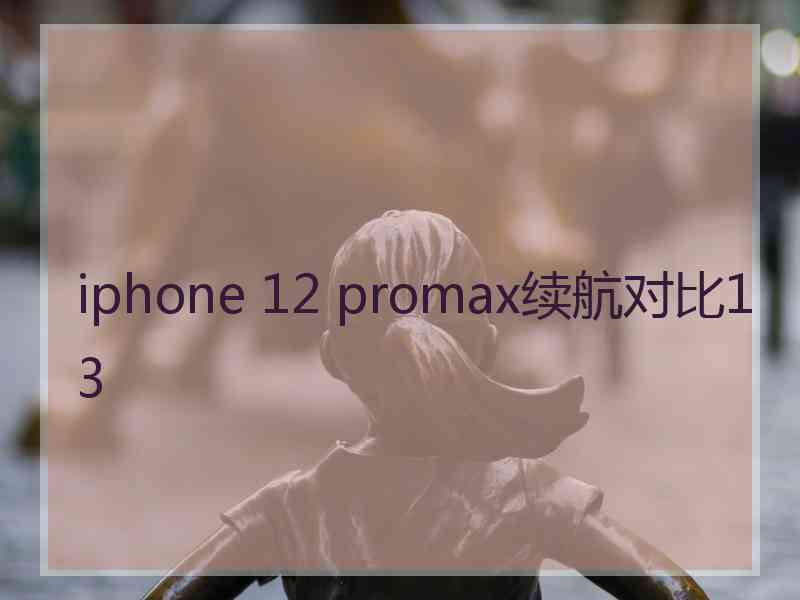 iphone 12 promax续航对比13