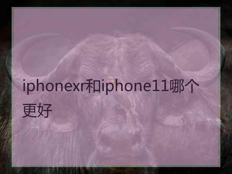 iphonexr和iphone11哪个更好