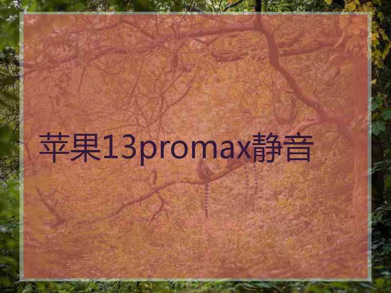 苹果13promax静音