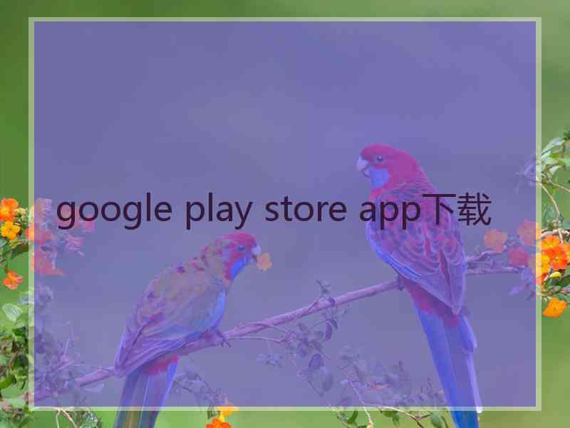 google play store app下载