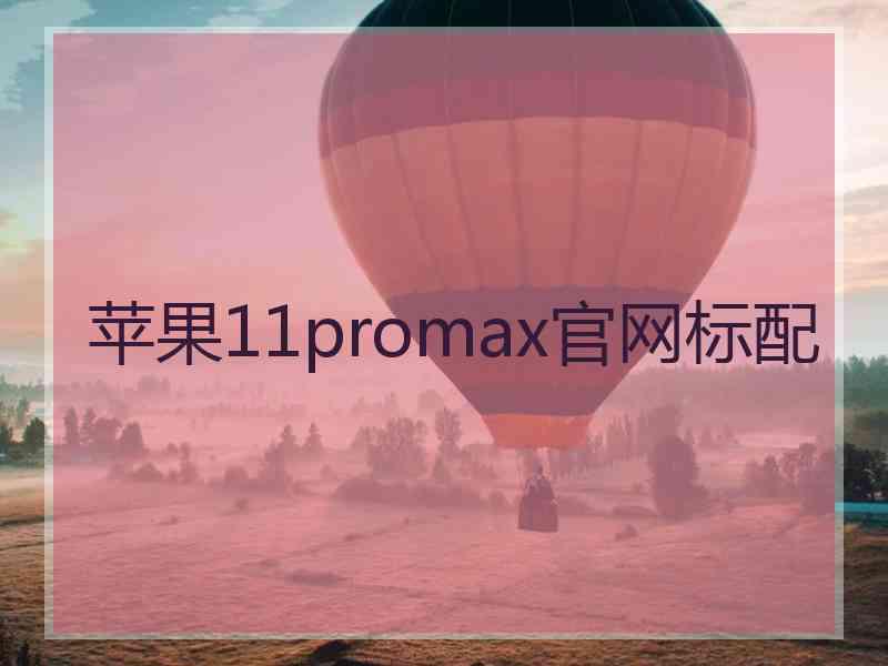 苹果11promax官网标配