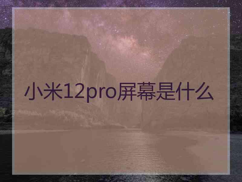 小米12pro屏幕是什么