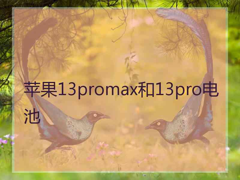 苹果13promax和13pro电池