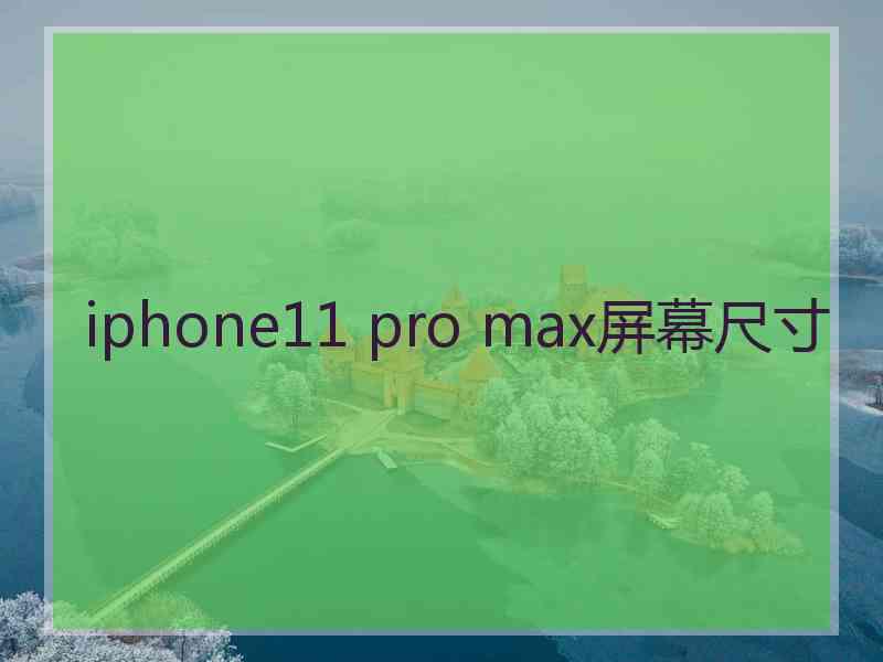 iphone11 pro max屏幕尺寸