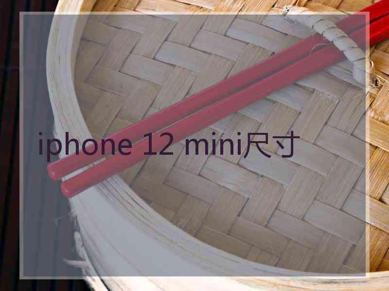 iphone 12 mini尺寸