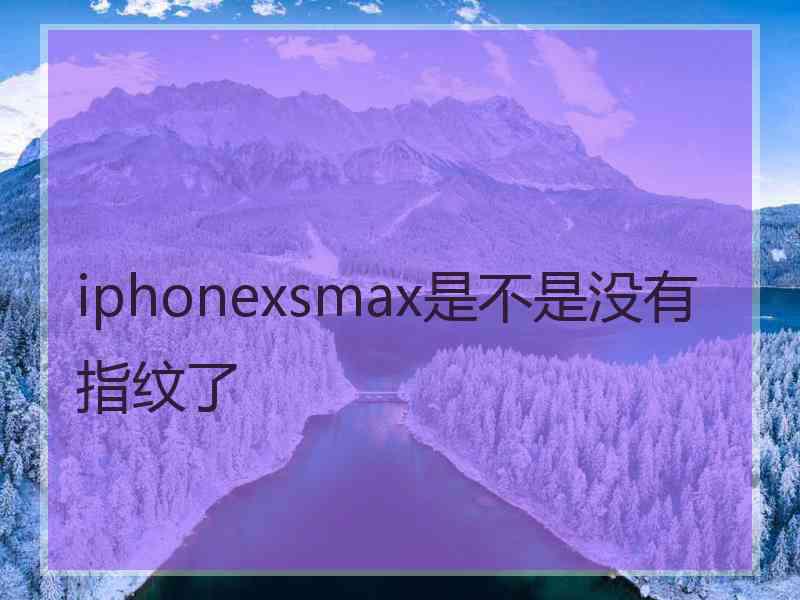 iphonexsmax是不是没有指纹了