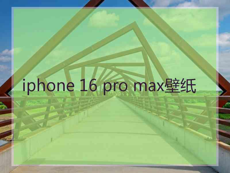 iphone 16 pro max壁纸