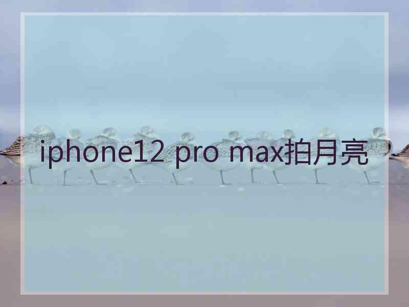 iphone12 pro max拍月亮