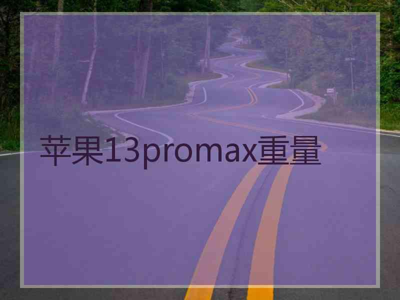 苹果13promax重量