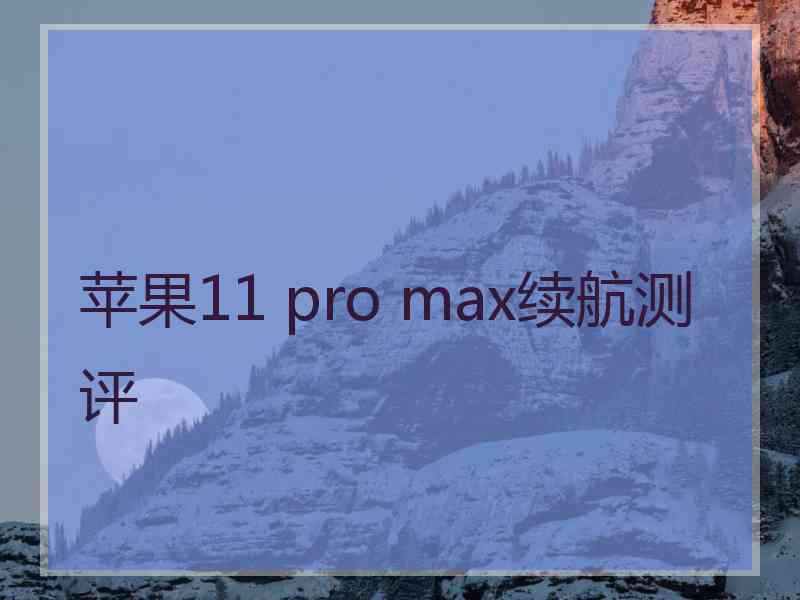 苹果11 pro max续航测评