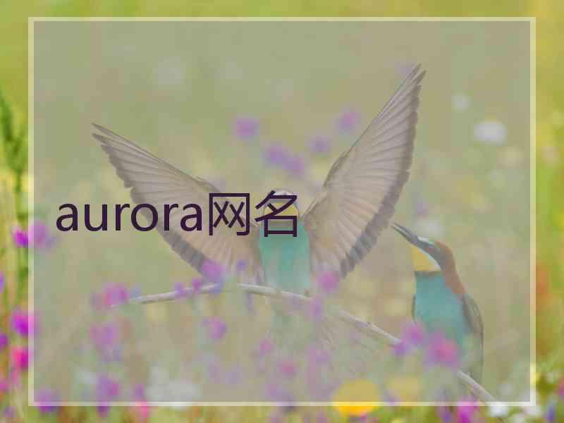 aurora网名