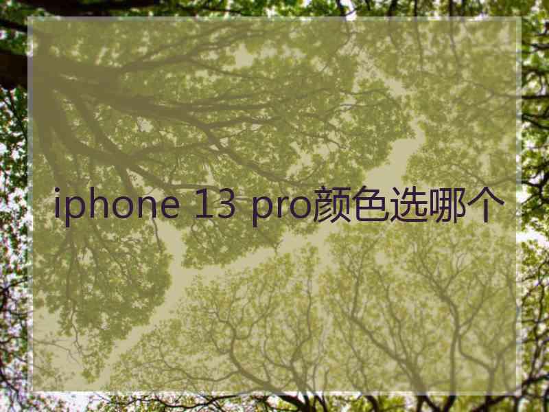 iphone 13 pro颜色选哪个