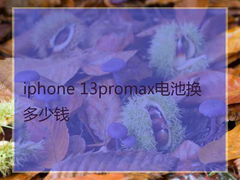 iphone 13promax电池换多少钱