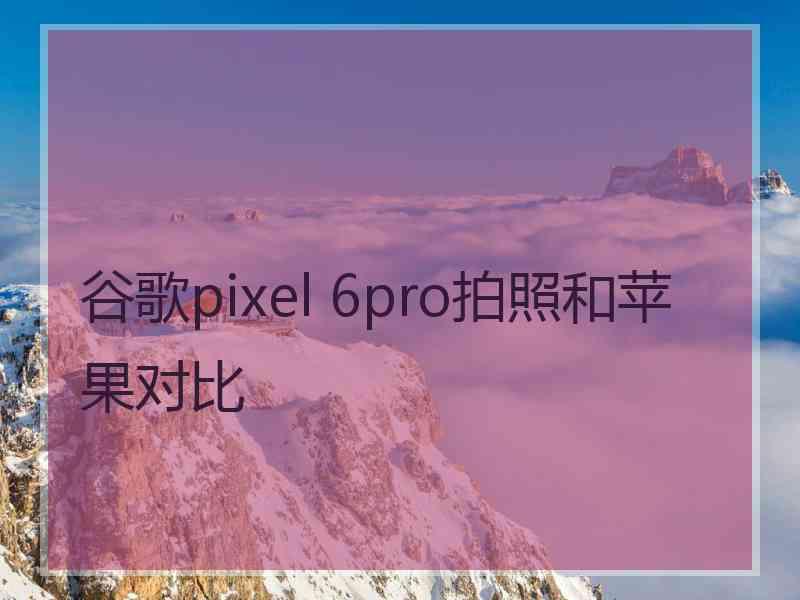 谷歌pixel 6pro拍照和苹果对比