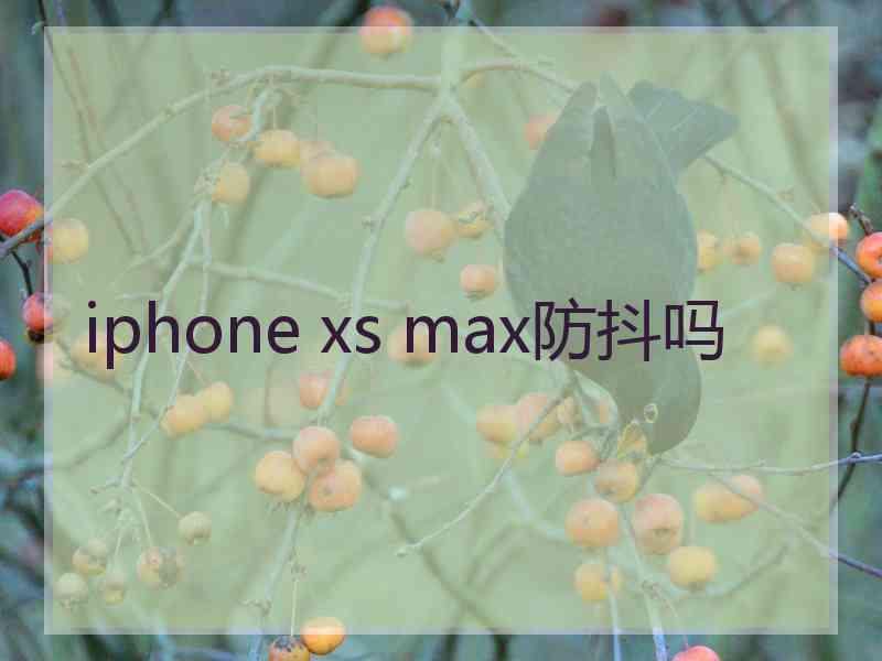 iphone xs max防抖吗