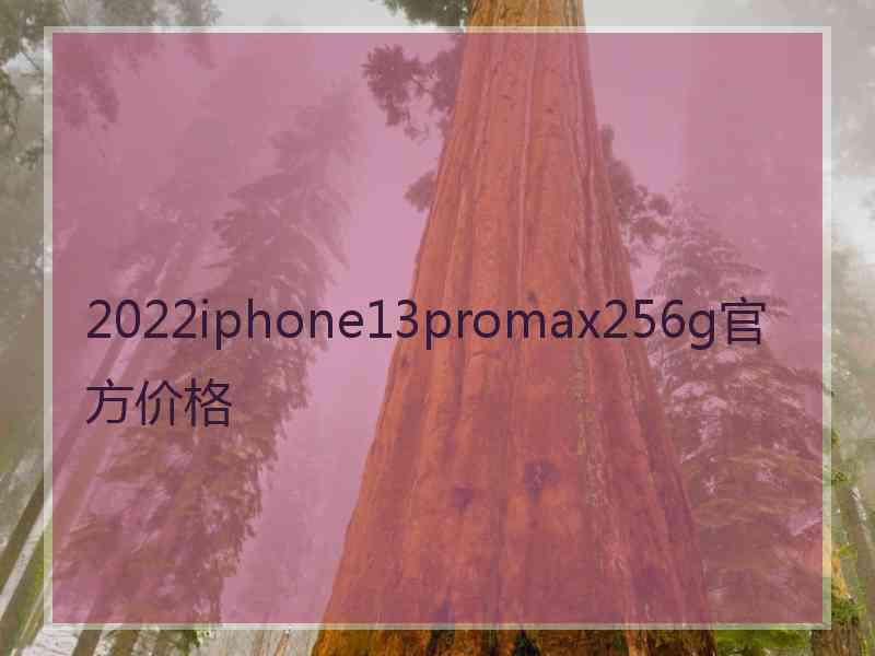 2022iphone13promax256g官方价格