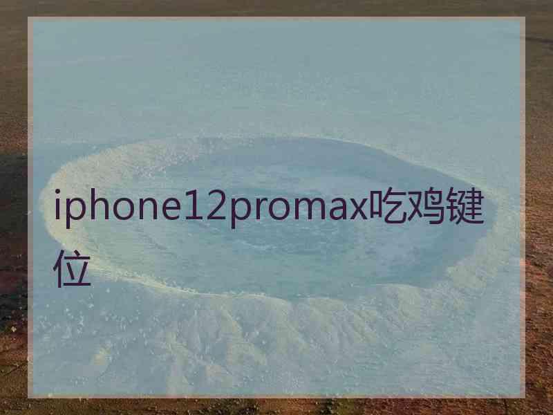 iphone12promax吃鸡键位