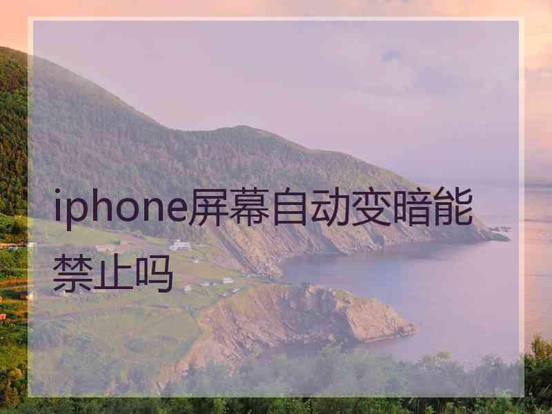 iphone屏幕自动变暗能禁止吗