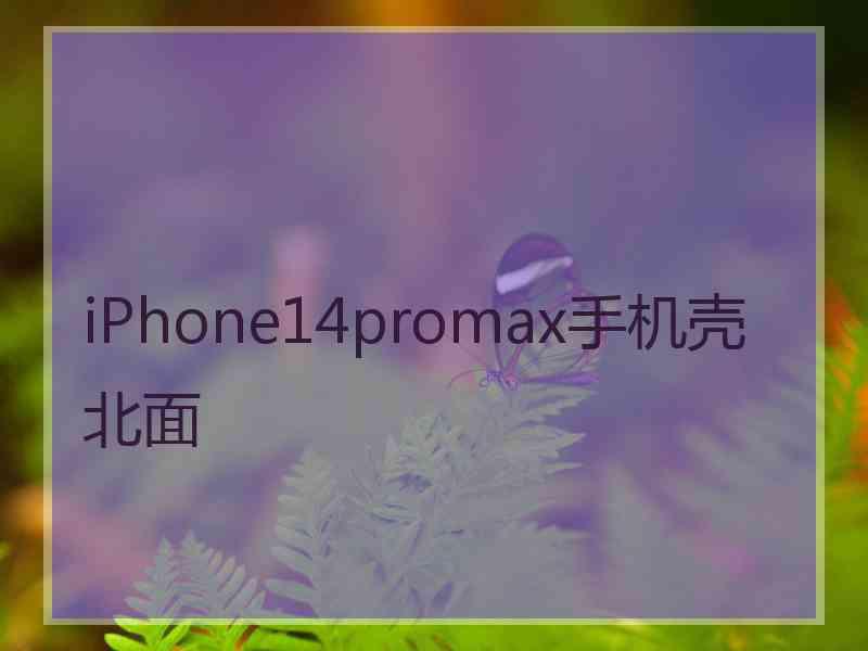 iPhone14promax手机壳北面