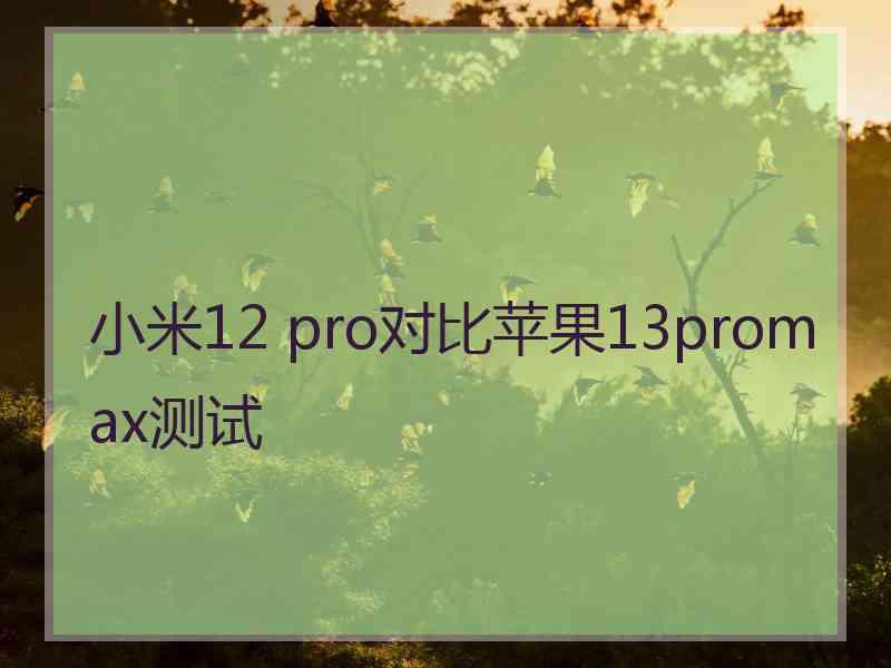 小米12 pro对比苹果13promax测试