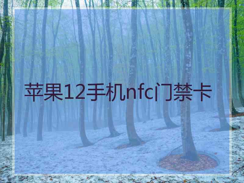 苹果12手机nfc门禁卡