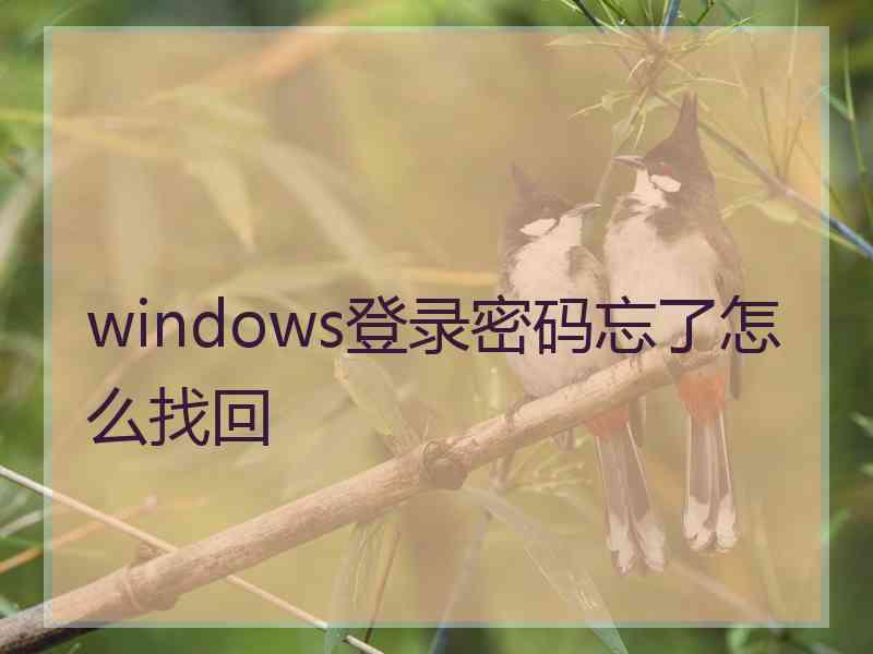 windows登录密码忘了怎么找回