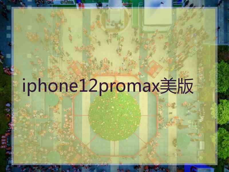 iphone12promax美版