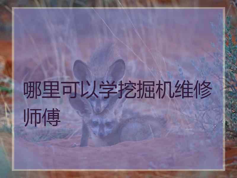 哪里可以学挖掘机维修师傅