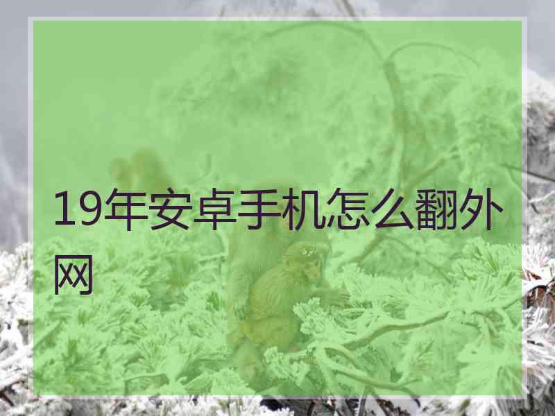 19年安卓手机怎么翻外网