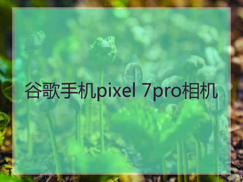 谷歌手机pixel 7pro相机