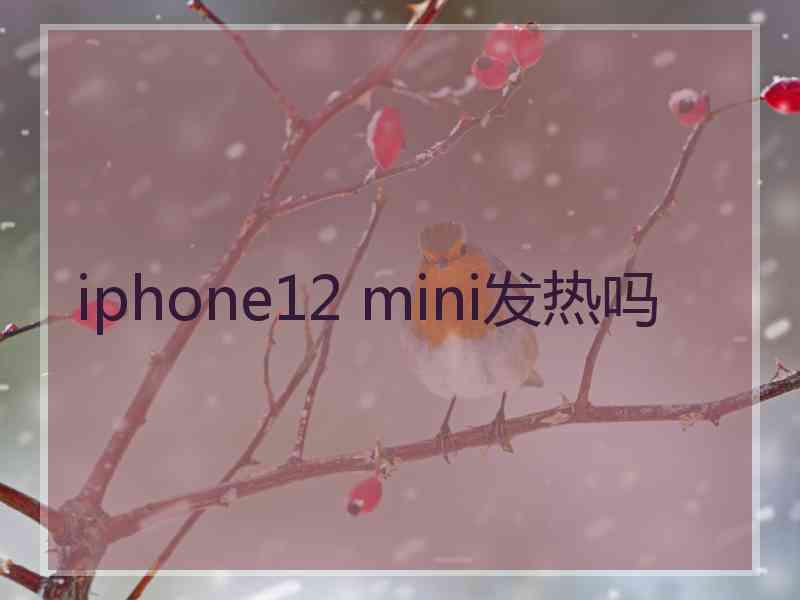 iphone12 mini发热吗