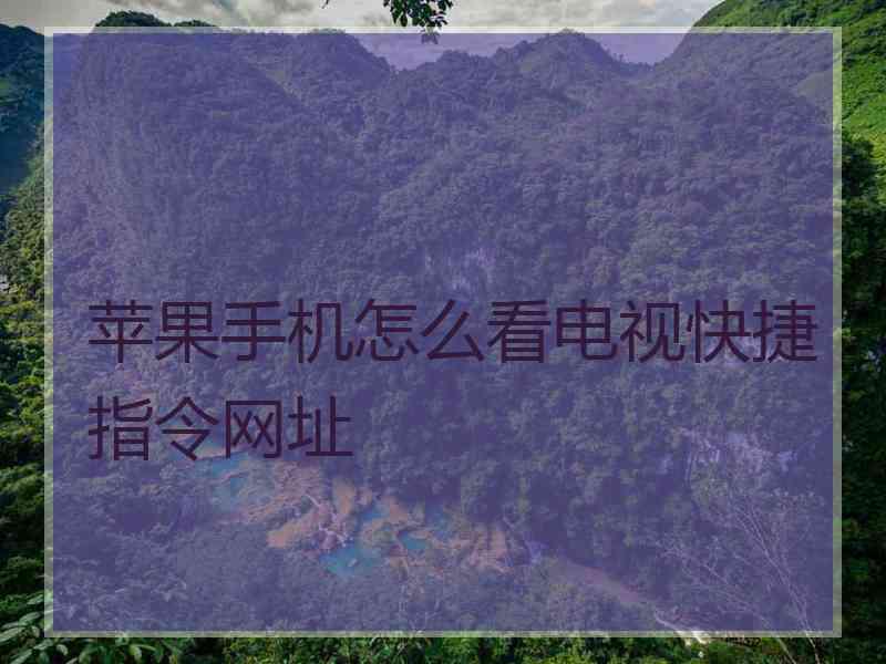 苹果手机怎么看电视快捷指令网址